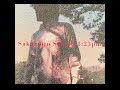 M1   音速を超えて