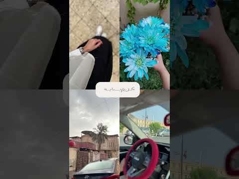 ياشمس ياشموسة كاظم الساهر شاشه سوداء لايك اشتراك ترند تصويري