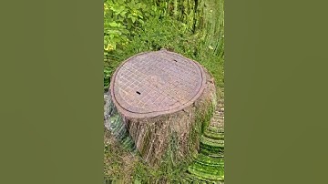 Dailey mosh The K brunn datamoshing style video