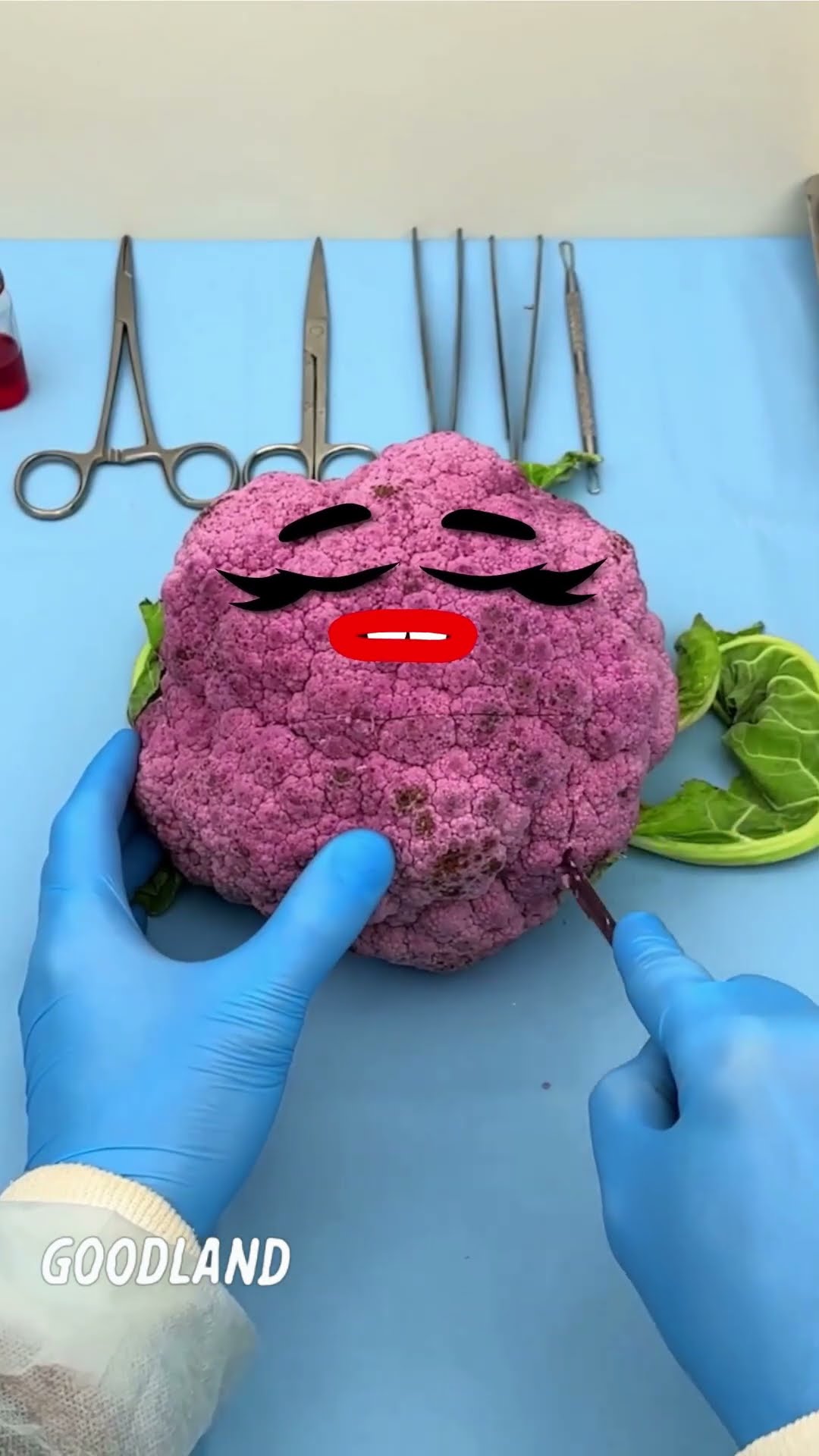 Goodland | Cauliflower surgery ? #doodles #animation #cartoon #GOODLAND