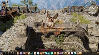 Divinity Original Sin 2  Definitive Edition Flying