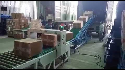 20ft Container Loading Unloading Conveyor for Cartons