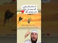 الأخ ليس مجرد شخص من العائلة الأخ سند وأمان وظهر لا يميل وقت الشدة
