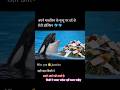 अपन म लक न क म त य पर र त ड ल फ न Dolphinattack Dolphin Seafish Dolphinshow Trending Viral 