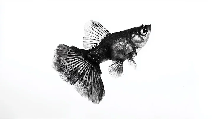 This video will only find you when you most need it.