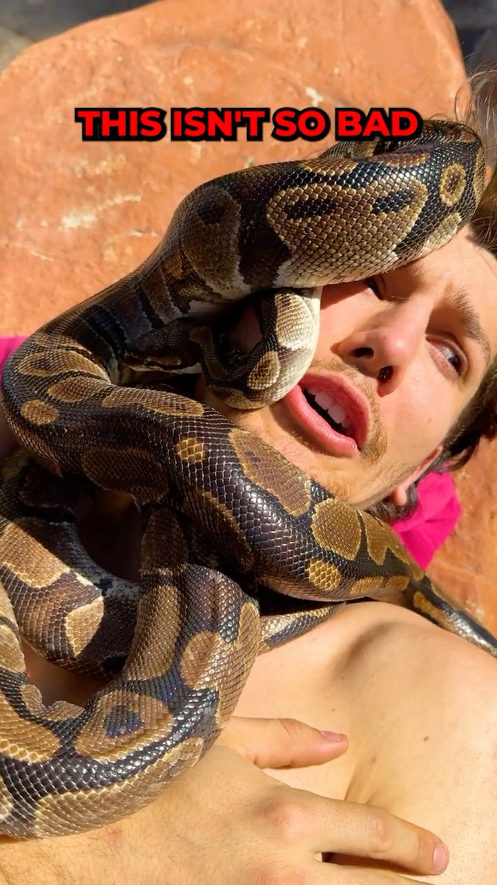 Don't Touch The Snake!!! ? #shorts