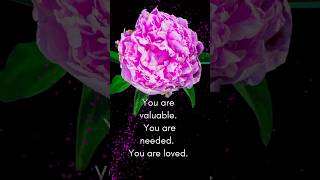 What makes you valuable? #bible