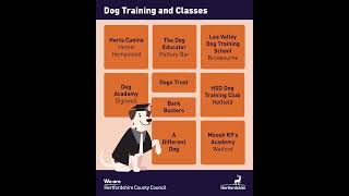 🐶  K9 Capers: 9 pet-friendly activities, events and places to explore across Hertfordshire