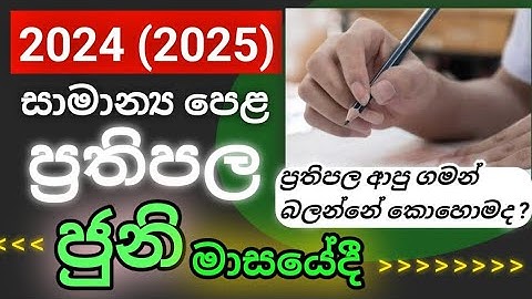 O/L 2024 Results Released | Step-by-Step Guide to Check (2025 GCE OL)