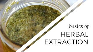 Basics of Herbal Extraction | Beginner Herbalism
