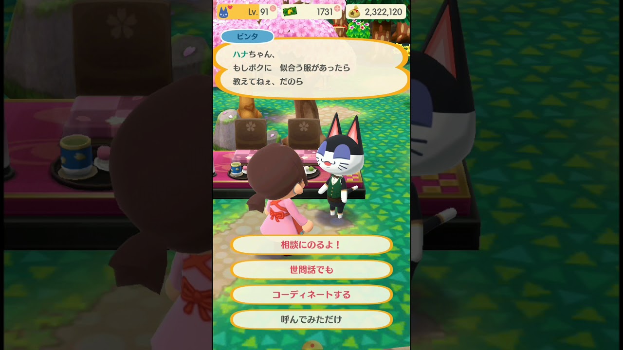 ポケ森 ビンタのために服を選んでコーデ記念のファッションショー どうぶつの森 Youtube