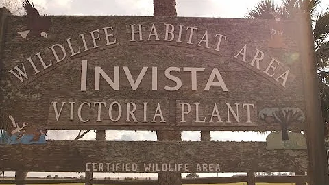 INVISTA  Thriving Ecosystem