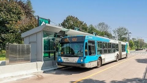 Pie-IX Express Bus service begins Monday, November 7 (November 3 2022)