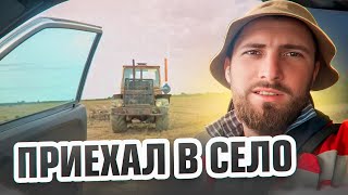 Приехал в Родное Село. ПОКАЖУ КАК ВЫРАЩИВАЕМ РИС В ДАГЕСТАНЕ 👍