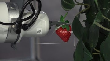 Robot fruit picker that uses AI to improve crop yields on display at MWC