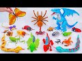 🦈Toy ASMR🦈RC Tarantula Spider &amp; RC Dragon &amp; RC Butterfly ASMR Satisfying with Unboxing