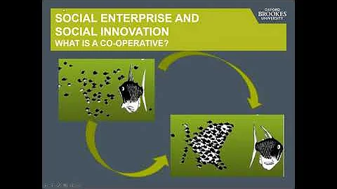 BMGT6012 Co-operatives - a business model or a dif...