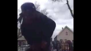 WILD!! Broad Day Gang Shootout on LIVE after opps pull up in CHICAGO!!