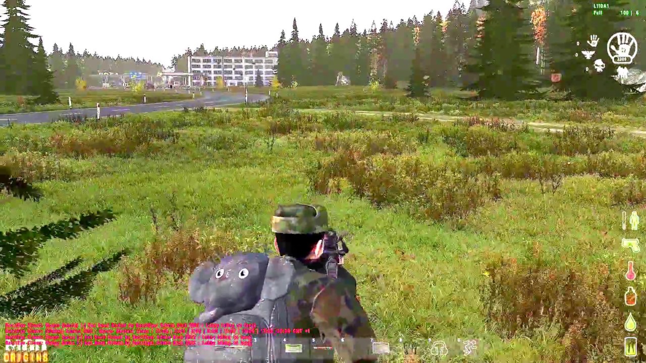 DayZ Origins  Der holprige Start auf DE001