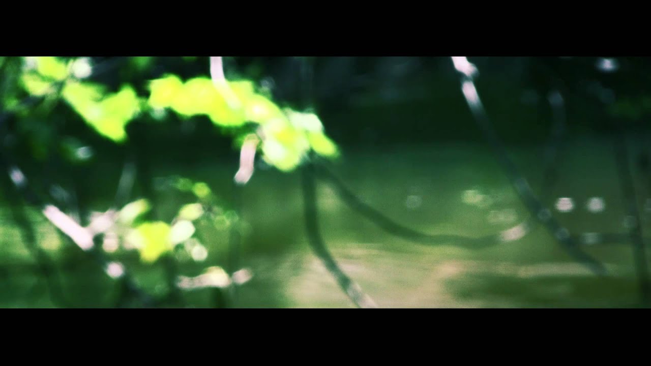 Nature - Canon Vixia HF S200 Film Look (24p)