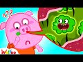Why Are There Boogers in the Nose? - Wolfoo Educational Videos for Kids 🤩 @WolfooCanadaKidsCartoon