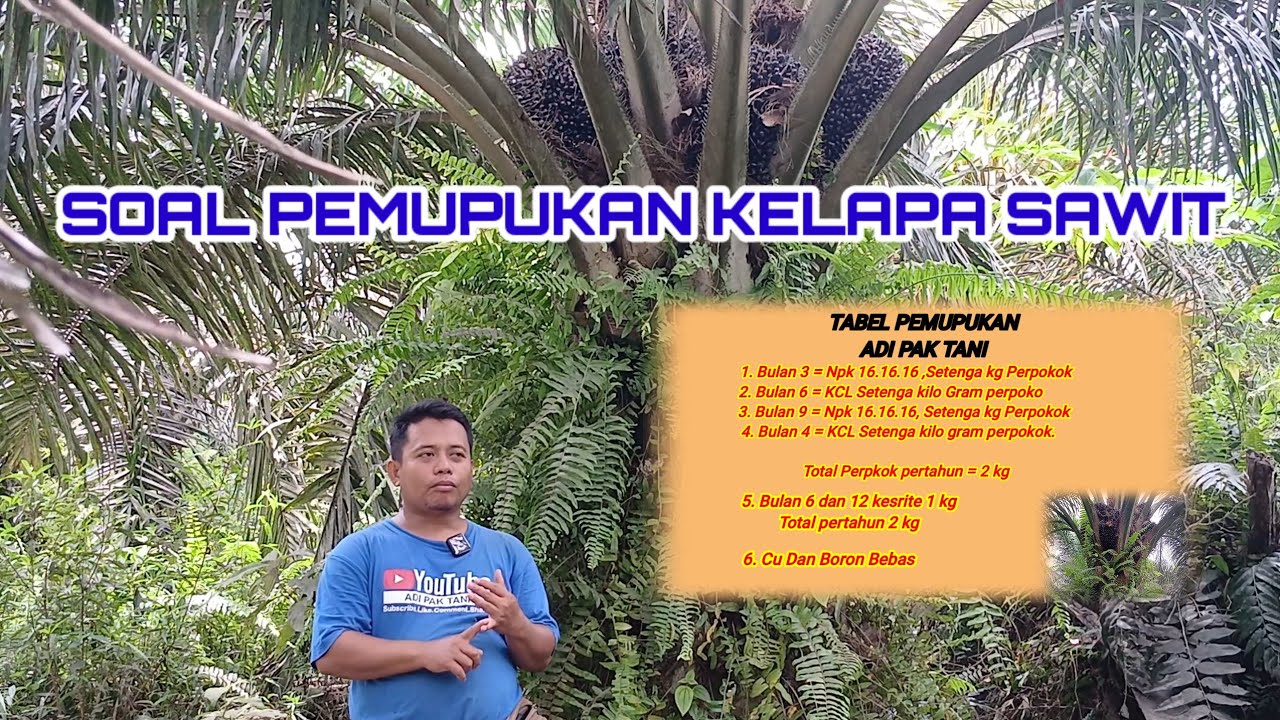 Tabel pemupukan Adi pak tani Di 2025 Biar semakin Meledak Buahnya