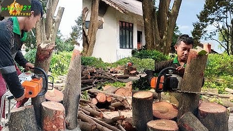 Never do treecutting skills techniques like this!