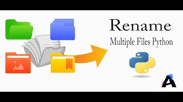 Rename Multiple Files Using Python