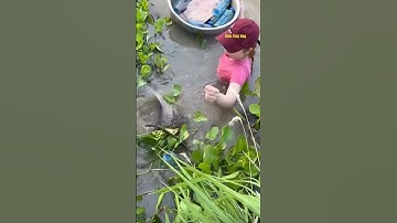 Cá Lớn - bẫy Cá Khổng Lồ 😱 #khacthuyvlogg