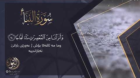 ماتسير من سورة النبأ ،صوت رعد الكردي🍃