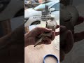 Erkek kardeşimin de bir bardağı olacak mı✨