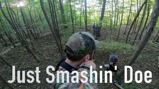 Deer killing highlight | 7 Deer in 3 Mins | When do you kill doe? - You Tell US! by Weekend Woodsmen 1,326 views 8 months ago 3 minutes, 28 seconds