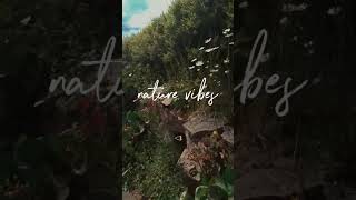 #nature #vibes #sweden #reels #diy#flowers #flowers#video#love #cool#comment#like #explore #shorts