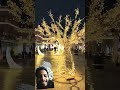 Ramdan decoration #love #travel #christmas #decoration #ramadan #facts #khawajagulamfareed