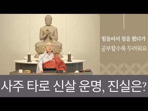 사주팔자, 타로, 신살, 운명... 두려워요. 진실은?