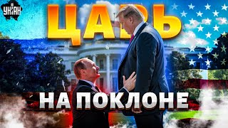В Москве КИПИШ! Царь НА ПОКЛОНЕ у Трампа: Путин ПРОГНУЛСЯ и помчал на Аляску. РФ – на лопатках