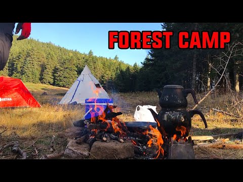 Orman Kampı - Ankara'nın En Güzel Kamp Yeri