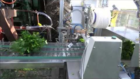 Sroka Herb Binding With Label