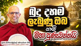 බුදු දහම ලැබුණු ඔබ නම් මහා පුණ්‍යවන්තයි #ven.Amadassana thero#jethavanarama viharaya #pahura 