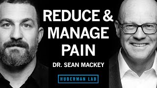 Dr. Sean Mackey: Tools to Reduce & Manage Pain by Andrew Huberman 397,126 views 3 months ago 2 hours, 56 minutes