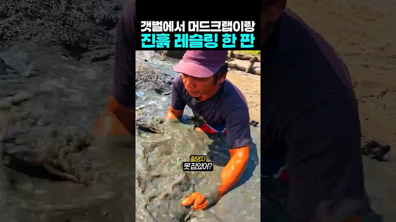 갯벌에서 머드크랩이랑 진흙 레슬링 한 판