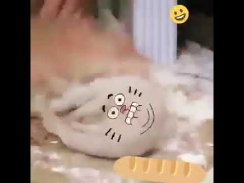 شاهد الفيديو لكي تنسى هموم الدنيا ههههههه