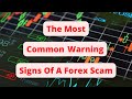 The Most Common Warning Signs Of A Forex Scam