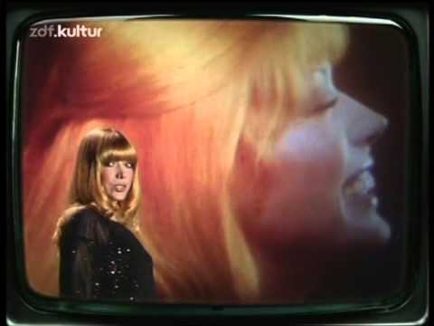 Es müssen keine Rosen sein