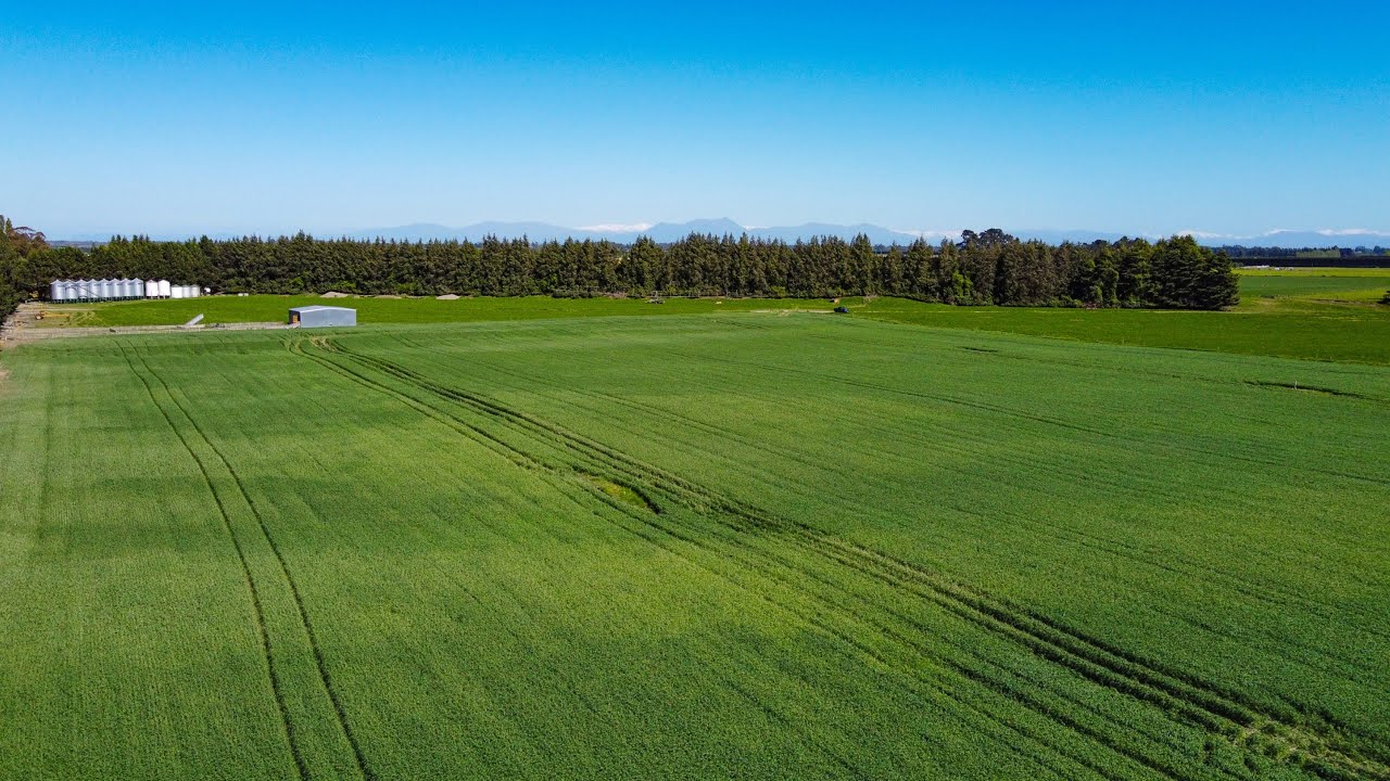 108ha Boundary & Wilkins Road, Ashburton YouTube