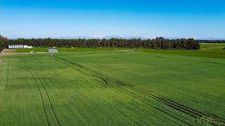 108ha Boundary & Wilkins Road, Ashburton