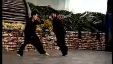 Chen Zhonghua Pushhands with Ronnie Yee 2