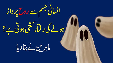 What is the speed of spirit to the human body?