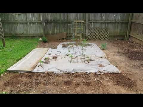 Can I Use Landscape Fabric In The Vegetable Garden?