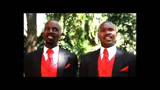 Mpumalanga White Birds - Imizamo Yami